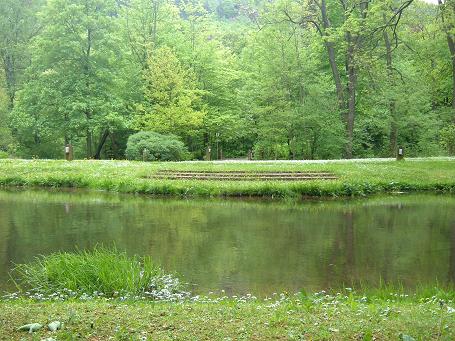 Der Froschteich am Tretbecken im Lauchagund