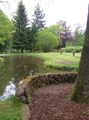 Der Froschteich beim Tretbecken