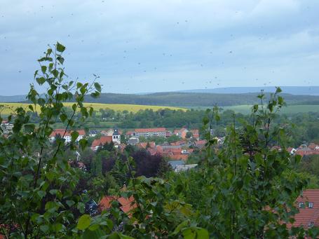 Blick vom Zimmerberg - Bad Tabarz mit der evangelischen Kirche im Zentrum